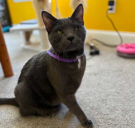 Photo of Jack