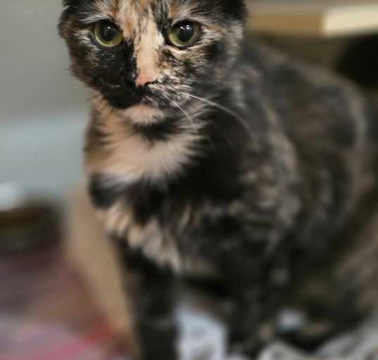 Photo of Sylvia