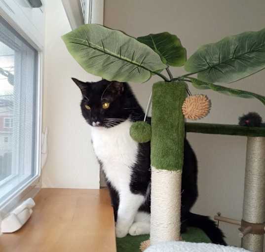 Photo of Mr wobbles
