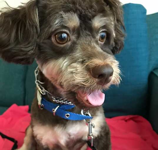 Photo of Ben 