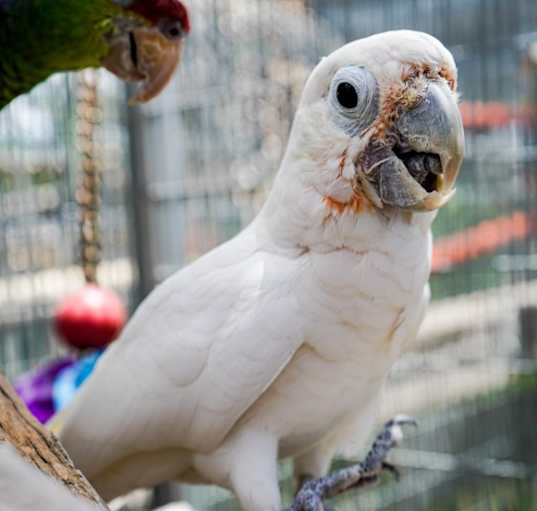 Photo of Gabriel