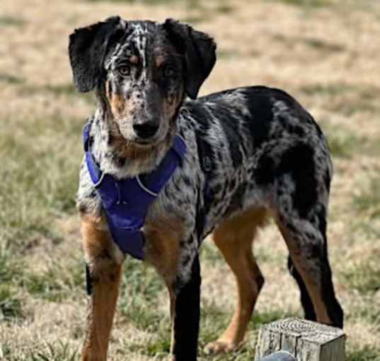 Photo of Trinity