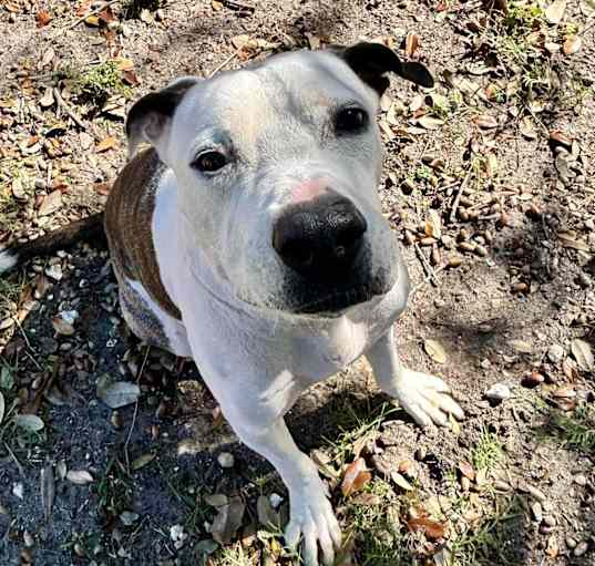 Photo of Kyro