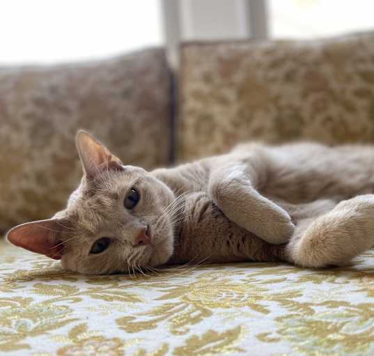 Photo of Benny