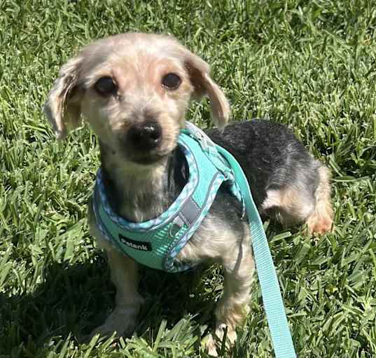 Photo of Delilah