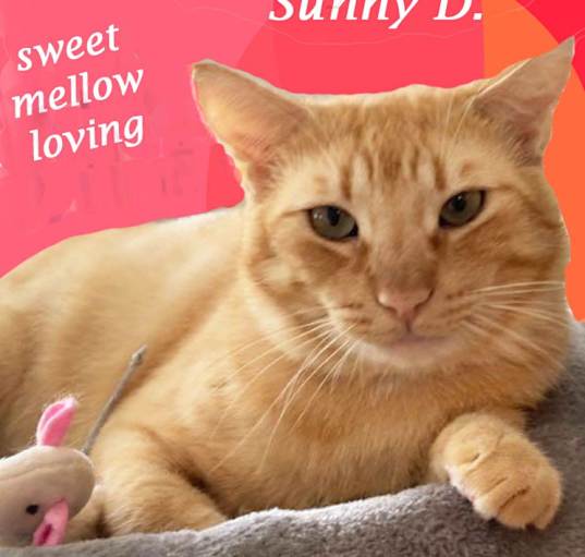 Photo of SUNNY D.