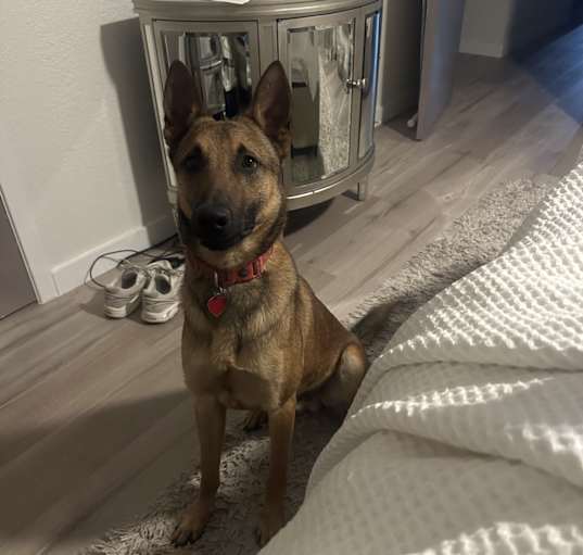 Photo of Ghost