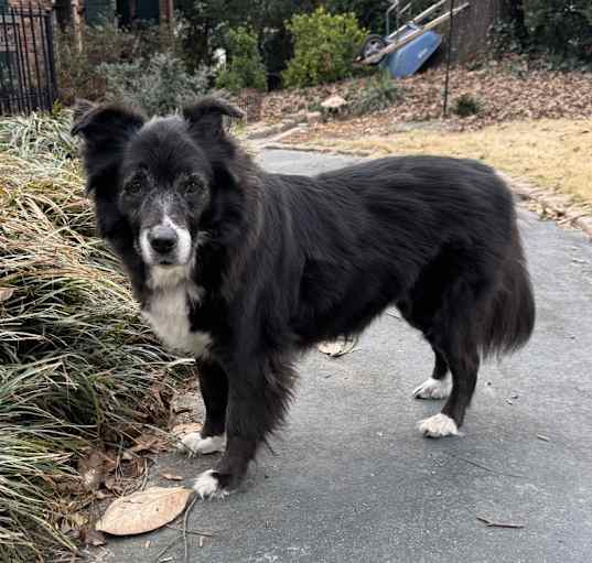 Photo of Rocky