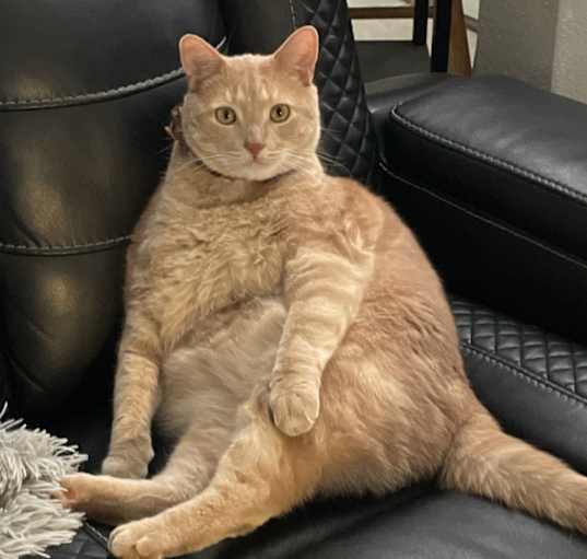 Photo of Charlie