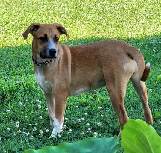 Photo of Cinnamon