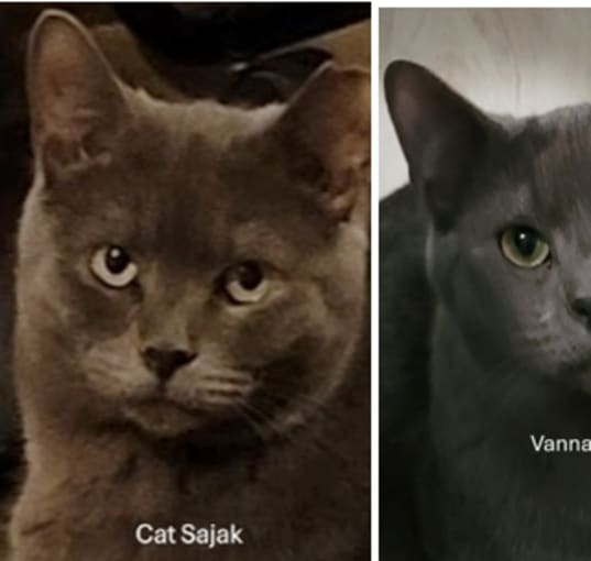 Photo of Cat Sajak and Vanna White