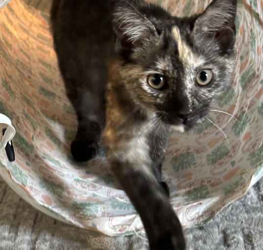 Photo of Zoe