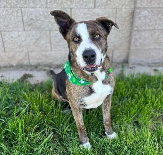 Photo of Ares