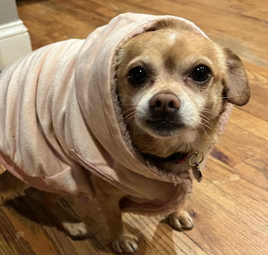 Photo of Rupert