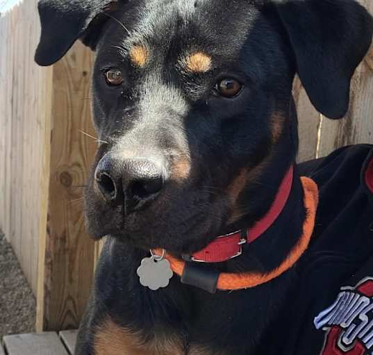 Photo of Sassy