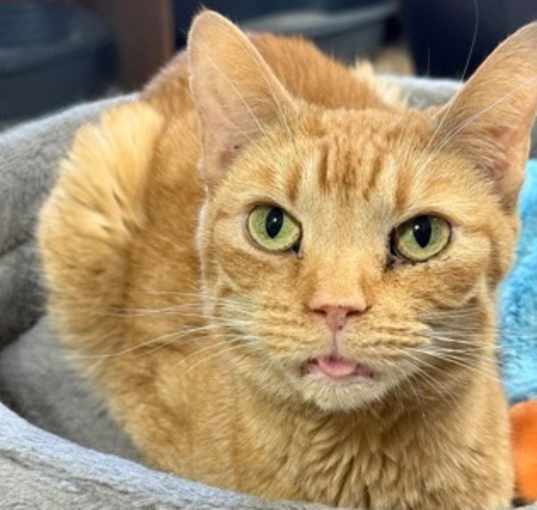 Photo of Rudy
