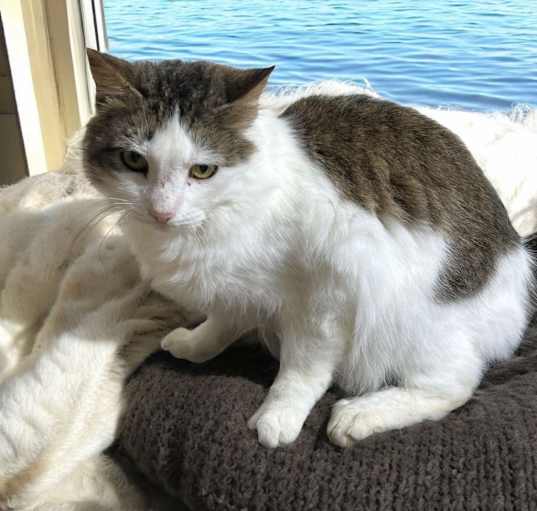 Photo of Lillie