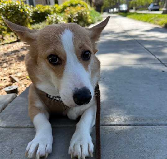 Photo of Sally