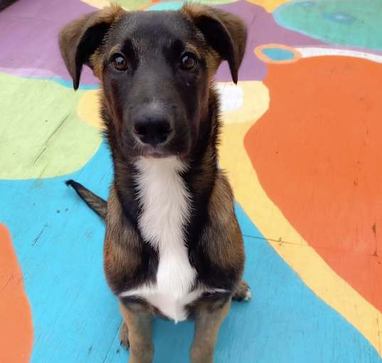 Photo of Murphy