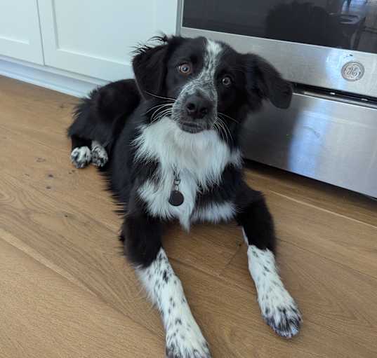 Photo of Ekko