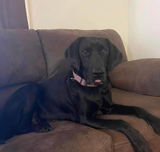 Photo of Stormy