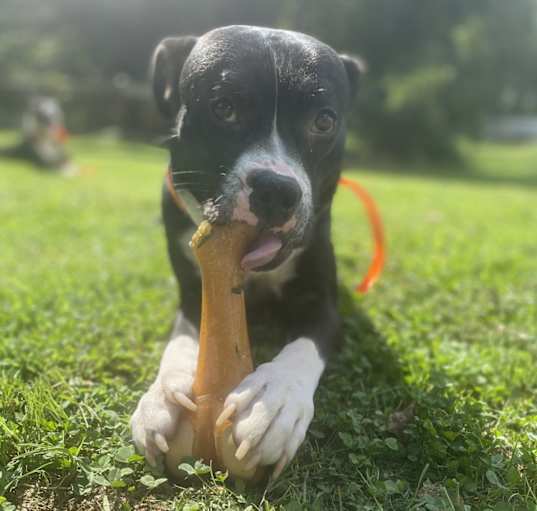 Photo of Axle