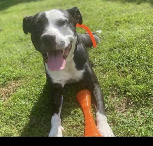 Photo of Myla