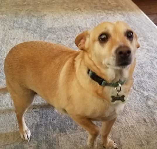 Photo of Charlie