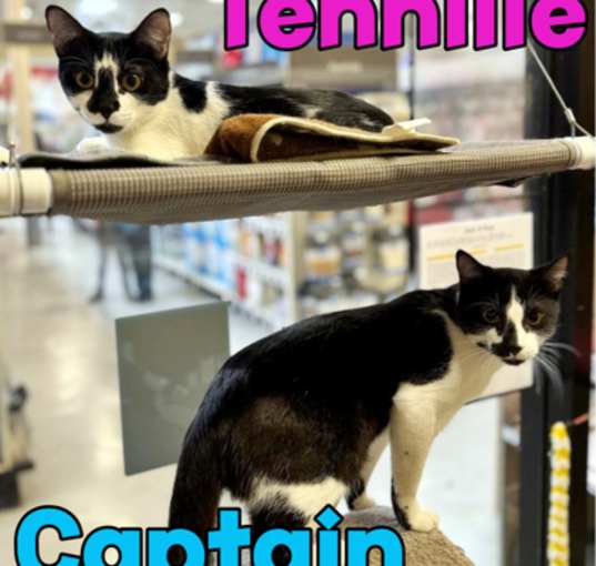 Photo of Captain