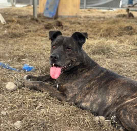 Photo of Zeus