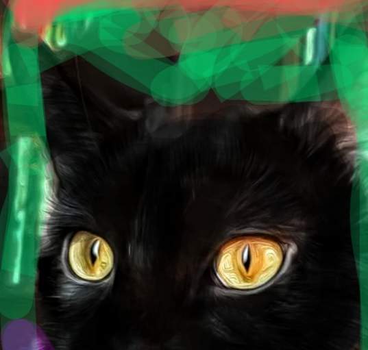 Photo of Zoomy