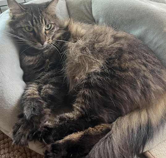 Photo of Mama Tabitha