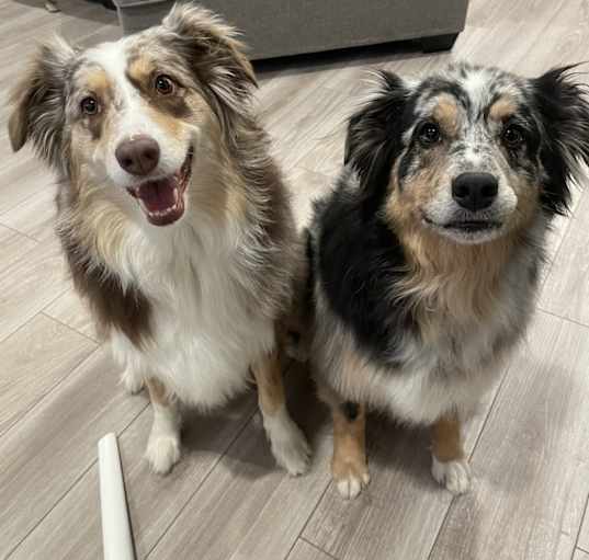 Photo of Emmie and Ollie