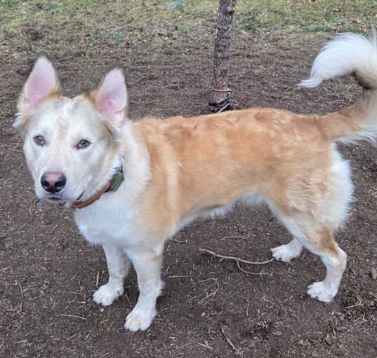 Photo of Junior