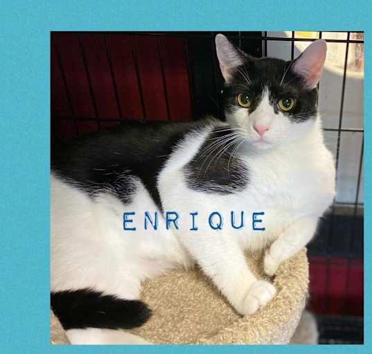Photo of Enrique