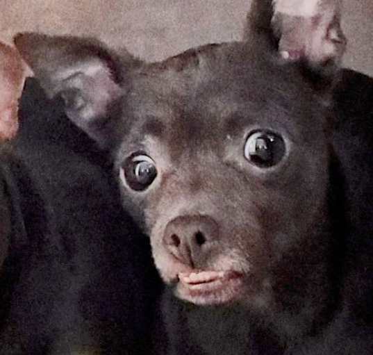 Photo of Hazel