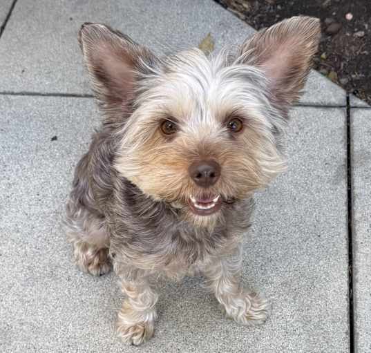 Photo of Chichita