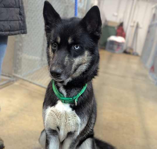 Photo of Korra