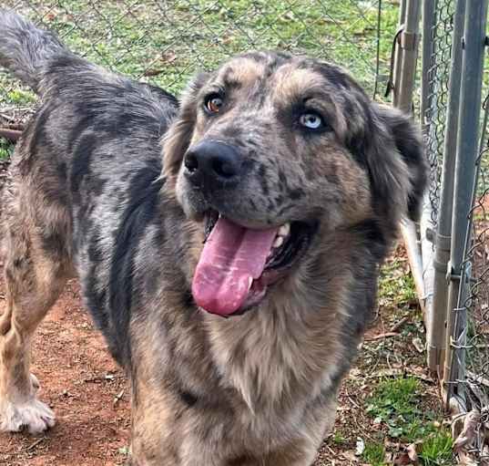 Photo of Oso
