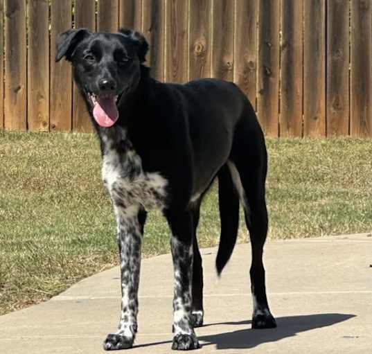 Photo of Molly Mae Lonestar*