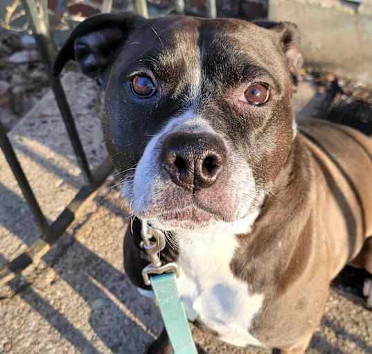 Photo of Chuy