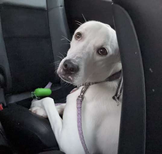 Photo of Molly