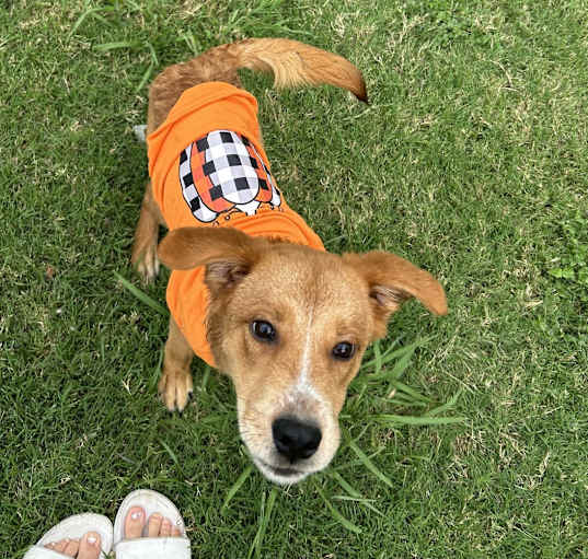 Photo of Teddy
