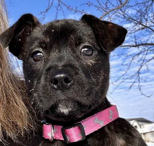 Photo of Wilma