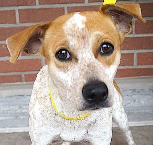 Photo of Thelma