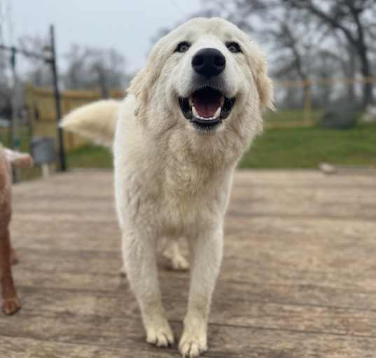Photo of Zeus