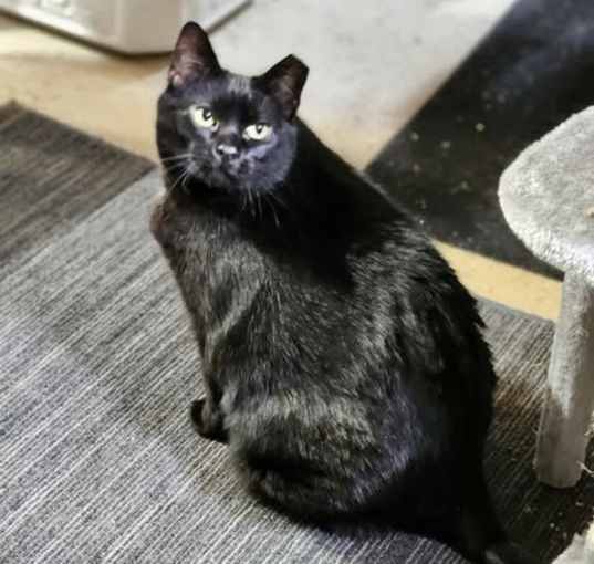 Photo of Tiny