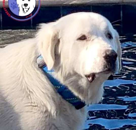 Photo of Gatsby