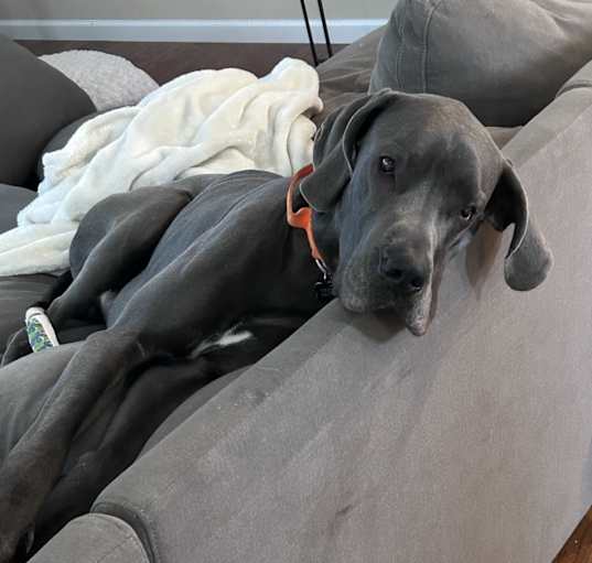 Photo of Zeke