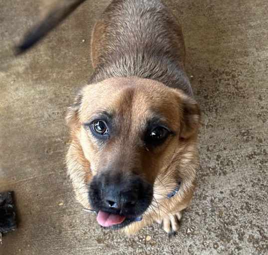Photo of Oso